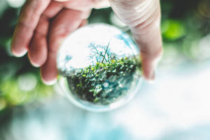 bulle environnement