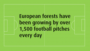 football pitch