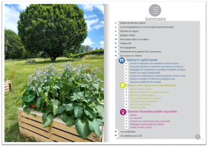 Rapport RSE Bong nos actions