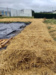permaculture-bong-paille-usine