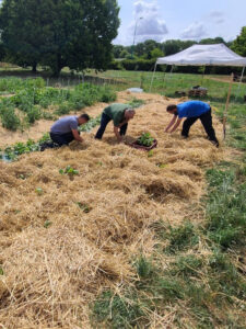 permaculture-employés-bong-sol