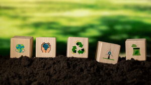 Decoding the AGEC law - 8 key measures to choose the right packaging