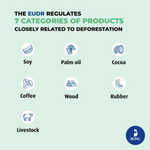 EUDR-categories