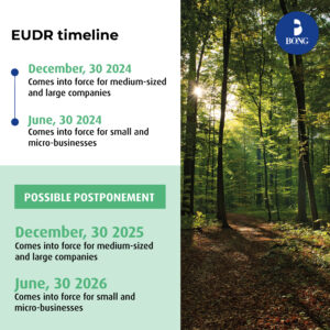 EUDR-timeline