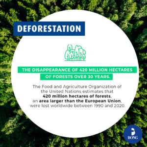 deforestation-forests